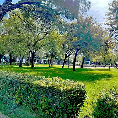 In The Heart Of Shkoder